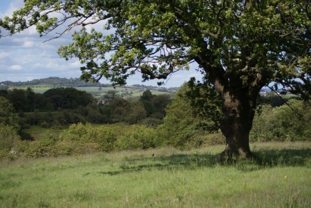 DSC02518