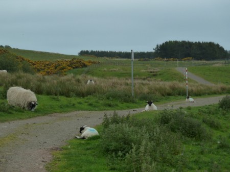 P1050116